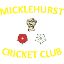 Micklehurst Cricket & Social Club 3rd XI
