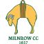 Milnrow CC Under 11 B
