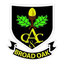 Broad Oak CC Under 15